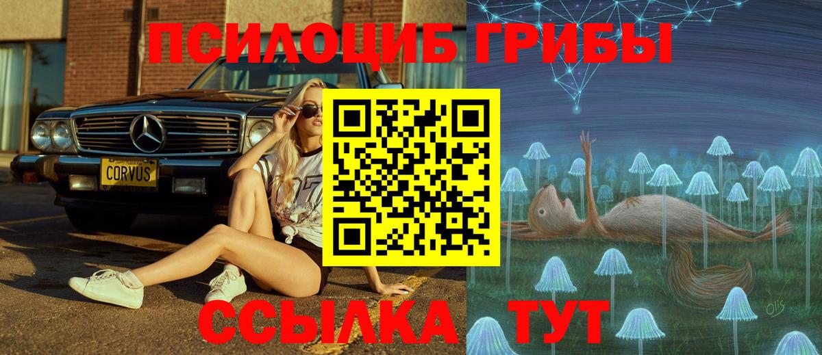 Галлюциногенные грибы GOLDEN TEACHER  Вход с VPN  Волжский 