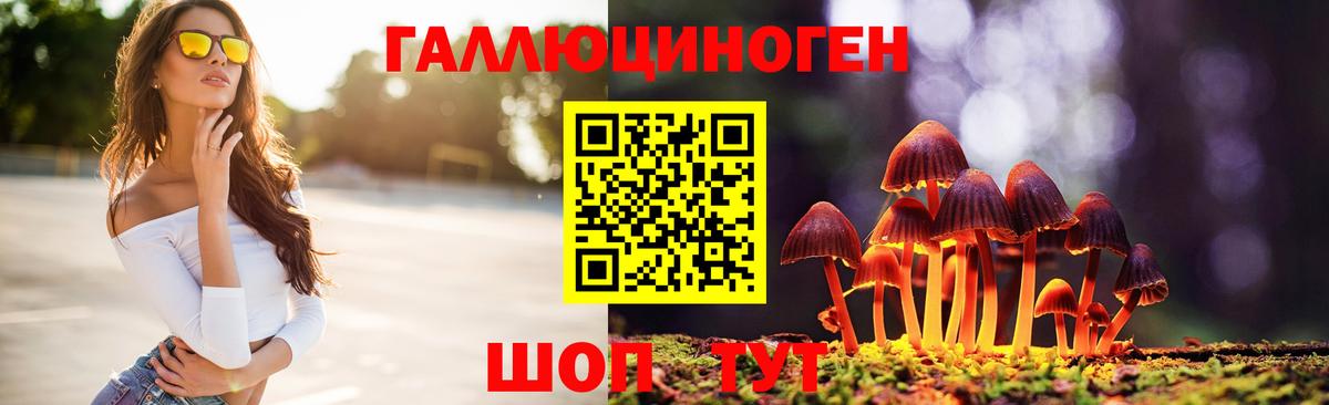 Псилоцибиновые грибы Psilocybe Волжский